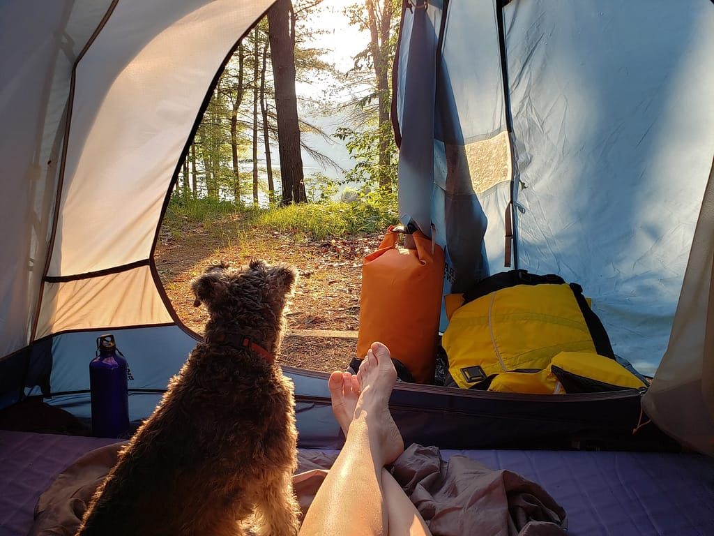 8 équipements indispensables pour le camping ou les bivouac en tente